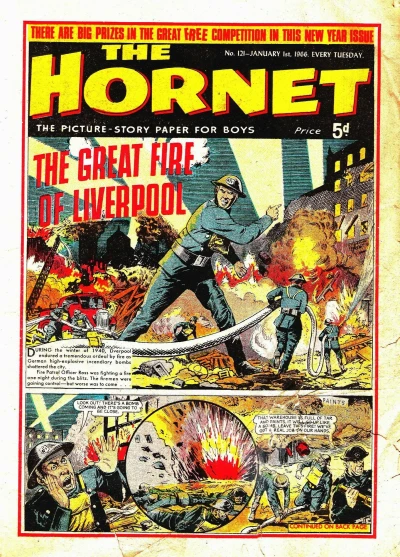 Cover of The Great Fire of Liverpool