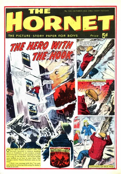 Cover of The Hero with the Hook