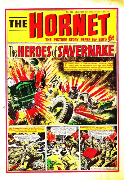 Cover of The Heroes of Savarnake