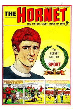 The Hornet Gallery of Sport