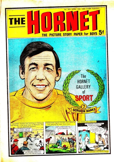Cover of The Hornet Gallery of Sport