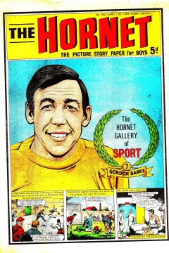 The Hornet Gallery of Sport