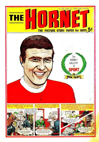 Cover of The Hornet Gallery of Sport