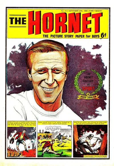 Cover of The Hornet Gallery of Sport