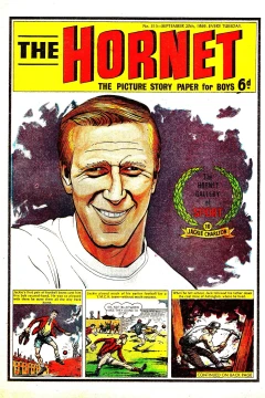 The Hornet Gallery of Sport