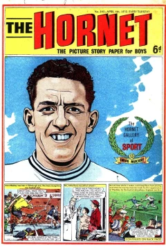 The Hornet Gallery of Sport
