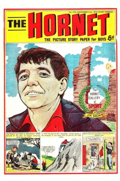 The Hornet Gallery of Sport