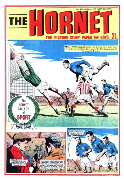 Cover of The Hornet Gallery of Sport