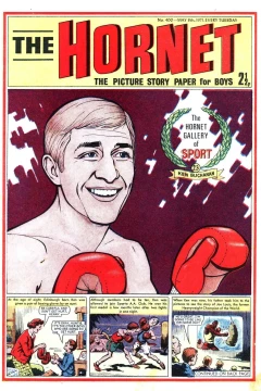 The Hornet Gallery of Sport