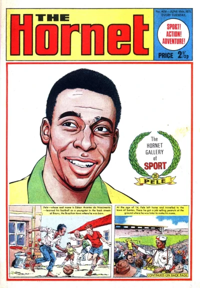 Cover of The Hornet Gallery of Sport