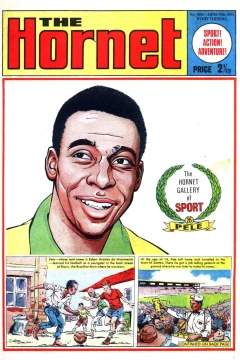 The Hornet Gallery of Sport