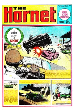 The Hornet Gallery of Sport