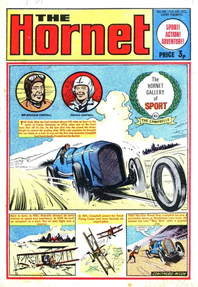 Cover of The Hornet Gallery of Sport