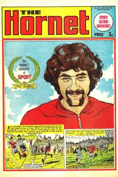 The Hornet Gallery of Sport