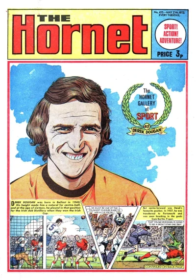 Cover of The Hornet Gallery of Sport