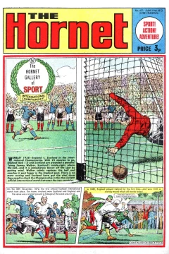 The Hornet Gallery of Sport