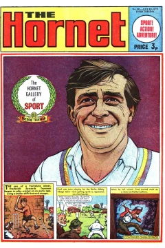 The Hornet Gallery of Sport