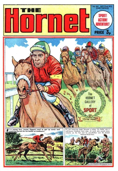 Cover of The Hornet Gallery of Sport