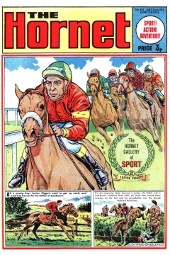The Hornet Gallery of Sport