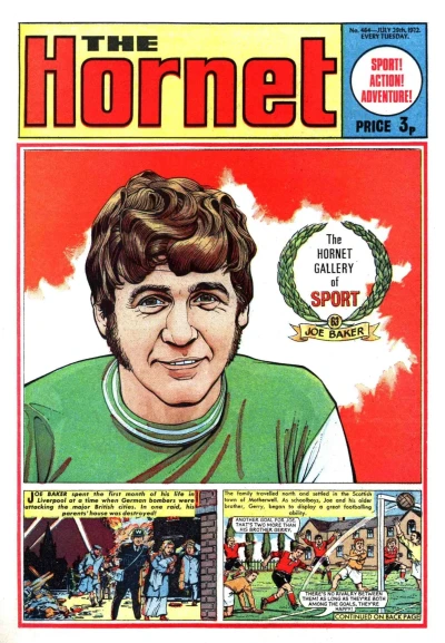 Cover of The Hornet Gallery of Sport