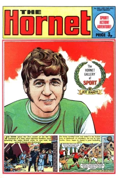 The Hornet Gallery of Sport