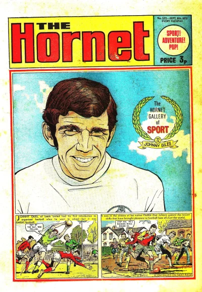 Cover of The Hornet Gallery of Sport