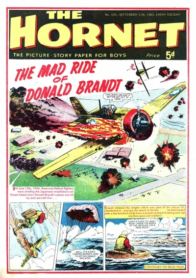 Cover of The Mad Ride of Donald Brandt