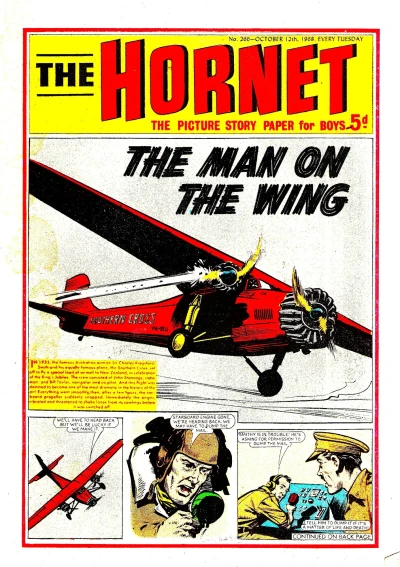 Cover of The Man on the Wing