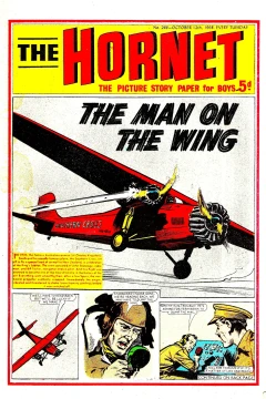 The Man on the Wing