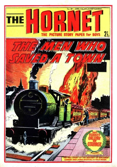 Cover of The Men Who Saved a Town