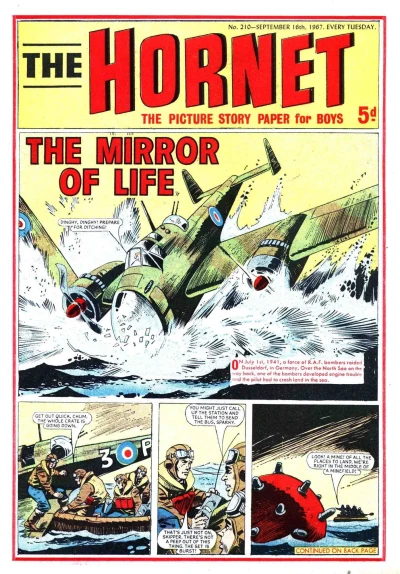 Cover of The Mirror of Life