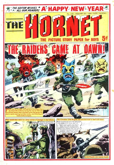 Cover of The Raiders Came at Dawn!