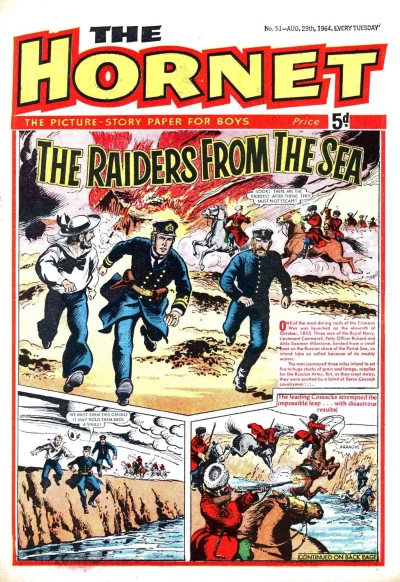 Cover of The Raiders From The Sea