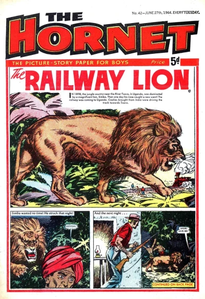 Cover of The Railway Lion