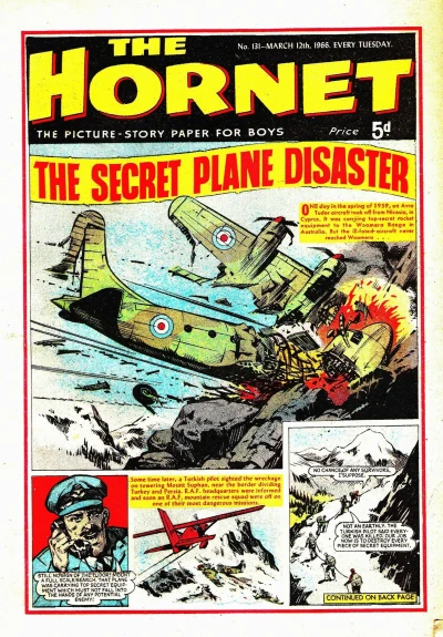 Cover of The Secret Plane Disaster