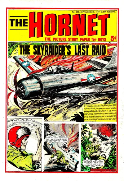 Cover of The Skyraider's Last Raid