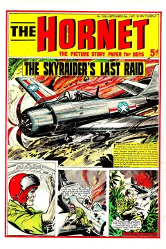 The Skyraider's Last Raid