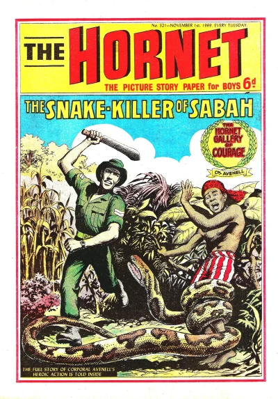 Cover of The Snake-Killer of Sabah