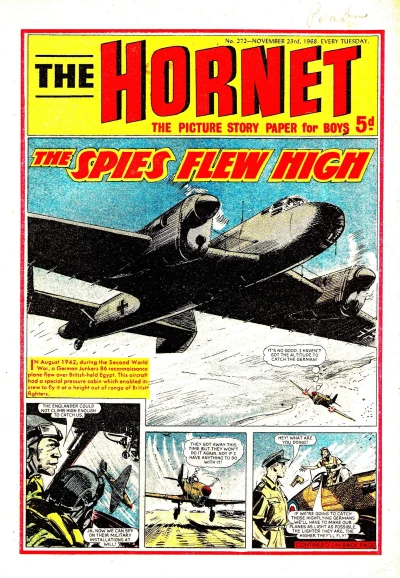 Cover of The Spies Flew High