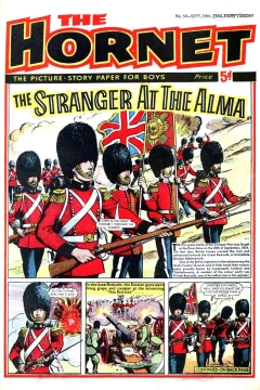 The Stranger At The Alma