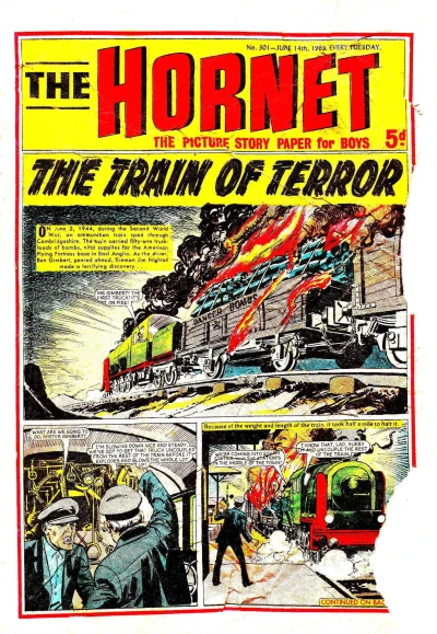 Cover of The Train of Terror