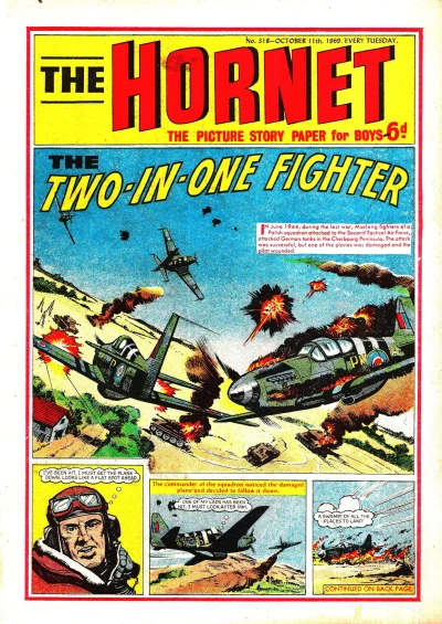 Cover of The Two-in-one Fighter