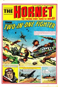 The Two-in-one Fighter
