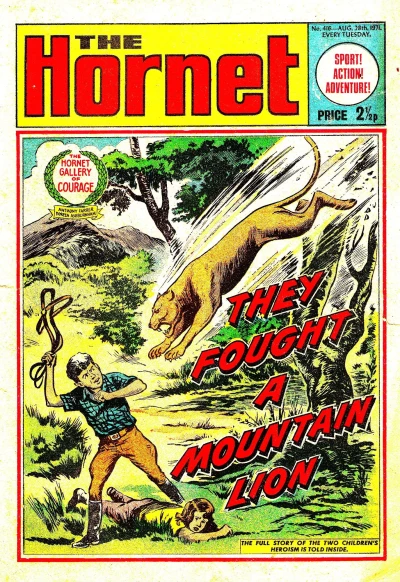 Cover of They Fought a Mountain Lion