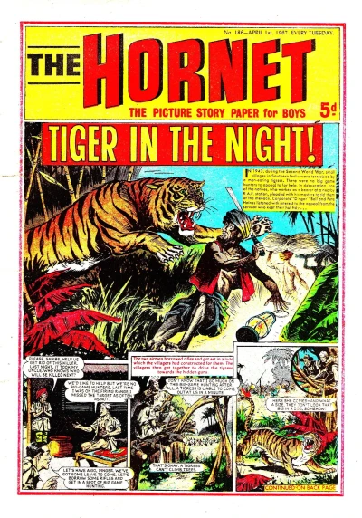Cover of Tiger in the Night!