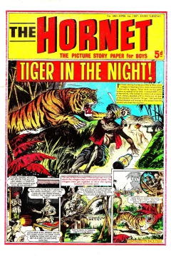 Tiger in the Night!