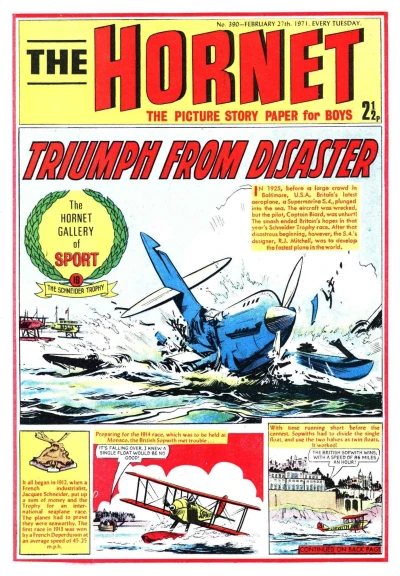 Cover of Triumph from Disaster