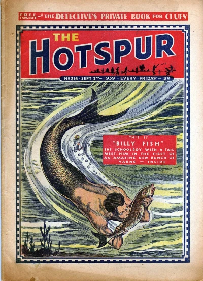 Cover of Billy Fish