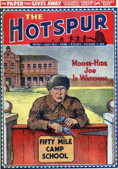 Cover of Moose-Hide Joe is Watching
