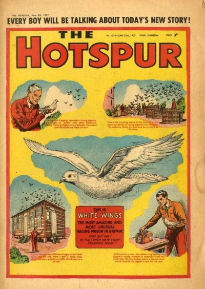 Cover of Issue #1076